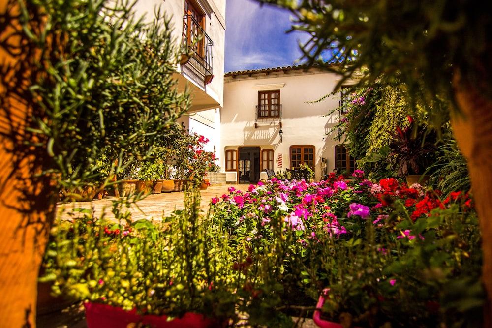 Hotel Asturias Кафаяте Екстер'єр фото